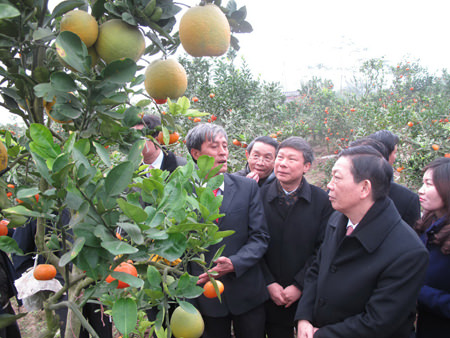 /pic/news/Images/abc/nam%202013/thang%201/ngay%2025/muoi/21_14_ngu-qua.jpg