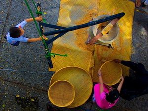 /pic/news/Images/abc/nam%202013/thang%201/ngay%2031/van%20hoa/langnghe.jpg