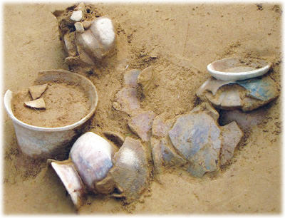 /pic/news/Images/abc/ngay%2008-12/covat.jpg