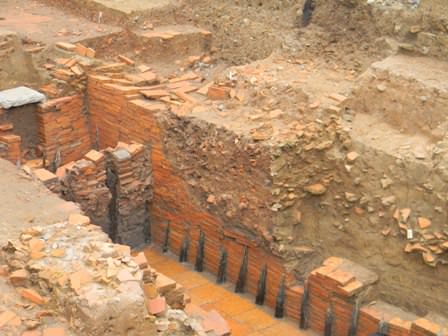 /pic/news/Images/abc/ngay%2027-12/bao%20ton/hoang-thanh.jpg