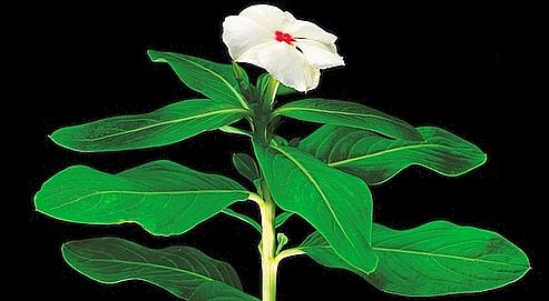 http://langnghevietnam.vn/pic/news/636118875934215761.jpg
