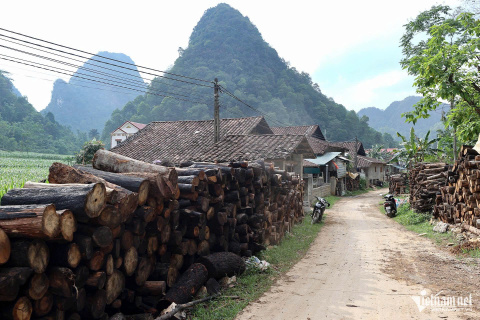 (11)- Nghề trăm năm 