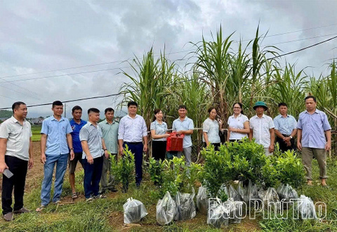 http://langnghevietnam.vn/pic/news/639205950591928311.jpg