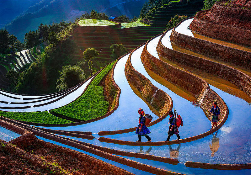 http://langnghevietnam.vn/pic/news/639234231841494727.jpg