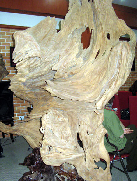 cuong-2.jpg