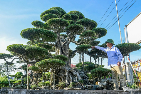 pic/news/gen-h-cay-Nam-dinh638957715971536841.jpg
