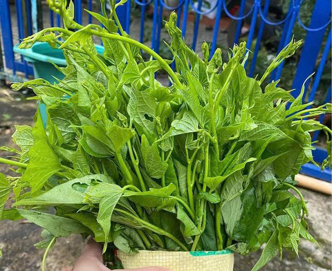 4 tác dụng bất ngờ của rau lang